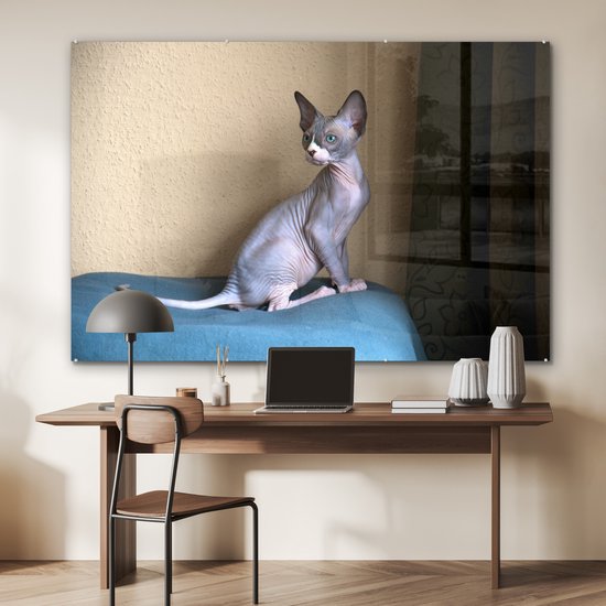 ® Glasschilderij 150x100 cm - Schilderij acrylglas - Een zittende Sphynx kitten - Foto op glas - Muurdecoratie woonkamer - Wanddecoratie slaapkamer - Schilderijen