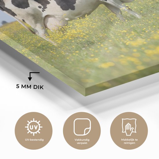 MuchoWow® Peinture sur verre 150x100 cm - Peinture sur verre acrylique - Vache - Herbe - Fleurs - Photo sur verre - Peintures