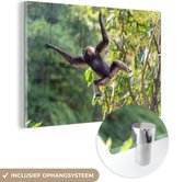 MuchoWow® Glasschilderij 150x100 cm - Schilderij acrylglas - Springende aap in de jungle - Foto op glas - Schilderijen