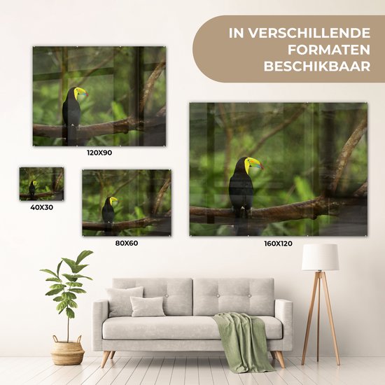 MuchoWow® Peinture sur verre 80x60 cm - Peinture sur verre acrylique - Dos d'un toucan sur une branche - Photo sur verre - Peintures
