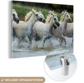 MuchoWow® Glasschilderij 150x100 cm - Schilderij acrylglas - Paarden - Water - Natuur - Foto op glas - Schilderijen
