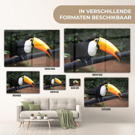 MuchoWow® Peinture sur verre 120x80 cm - Peinture sur verre acrylique - Toucan sur une branche noire au Brésil - Photo sur verre - Peintures