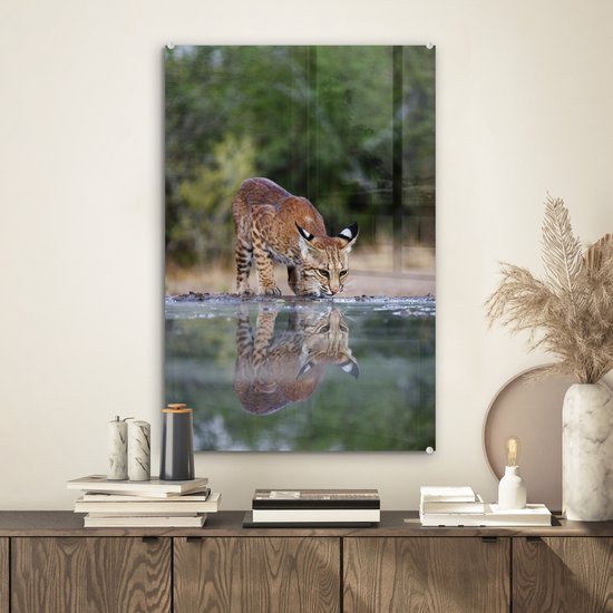Peinture sur Verre - Lynx - Animal - Water - Buvant - 40x60 cm - Peintures sur Verre Peintures - Photo sur Glas