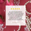 Afbeelding nummer  7