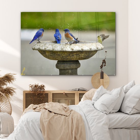 MuchoWow® Peinture sur verre 150x100 cm - Peinture sur verre acrylique - Vogel - Bain d'oiseaux - Water - Photo sur verre - Peintures