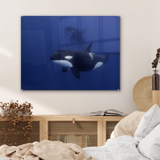 Peinture sur verre - Deux orques dans l'eau claire - 80x60 cm - Peintures acryliques - Photo sur Glas