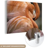 MuchoWow® Glasschilderij 90x60 cm - Schilderij acrylglas - Twee flamingo's die naast elkaar staan - Foto op glas - Schilderijen