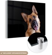 MuchoWow® Glasschilderij 80x60 cm - Schilderij acrylglas - Duitse herder op zwarte achtergrond - Foto op glas - Schilderijen