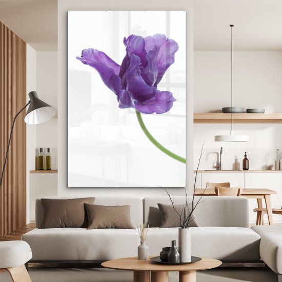 MuchoWow® Peinture sur verre 100x150 cm - Peinture sur verre acrylique - tulp violette sur fond blanc - Photo sur verre - Peintures