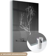 MuchoWow® Glasschilderij 80x120 cm - Schilderij acrylglas - Kunst van de natuur - Foto op glas - Schilderijen