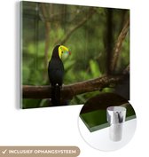 MuchoWow® Peinture sur verre 160x120 cm - Peinture sur verre acrylique - Dos d'un toucan sur une branche - Photo sur verre - Peintures