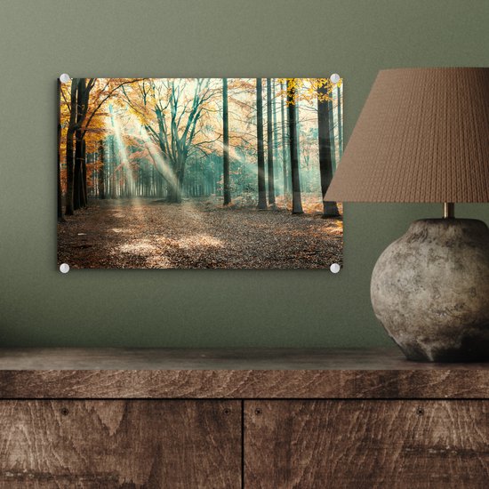 MuchoWow® Peinture sur Verre - Forêt d'Automne aux Nederland - 30x20 cm - Peintures sur Verre Acrylique - Photo sur Glas