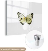 MuchoWow® Glasschilderij 40x30 cm - Schilderij acrylglas - Resedawitje - Foto op glas - Schilderijen