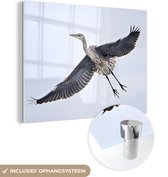 MuchoWow® Glasschilderij 120x90 cm - Schilderij acrylglas - Vliegende reiger - Foto op glas - Schilderijen