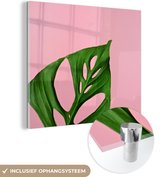 MuchoWow® Glasschilderij 90x90 cm - Schilderij acrylglas - Botanisch blad op een roze achtergrond - Foto op glas - Schilderijen
