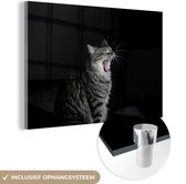 MuchoWow® Glasschilderij 150x100 cm - Schilderij acrylglas - Gapende kat - Foto op glas - Schilderijen