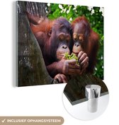 MuchoWow® Glasschilderij 40x30 cm - Schilderij acrylglas - Twee orang-oetans in een boom - Foto op glas - Schilderijen