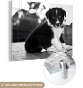 MuchoWow® Glasschilderij 40x30 cm - Schilderij acrylglas - Border collie pup zittend op een tafel - zwart wit - Foto op glas - Schilderijen