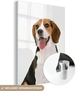 MuchoWow® Glasschilderij 60x80 cm - Schilderij acrylglas - Beagle met zijn tong uit de mond - Foto op glas - Schilderijen