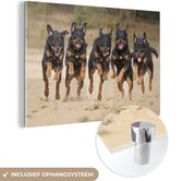 MuchoWow® Glasschilderij 120x80 cm - Schilderij acrylglas - Rennende Rottweilers op een rij - Foto op glas - Schilderijen