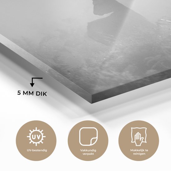 Peinture sur verre - Cerf dans le brouillard - noir et blanc - 180x120 cm - Peintures sur Verre Peintures - Photo sur Glas