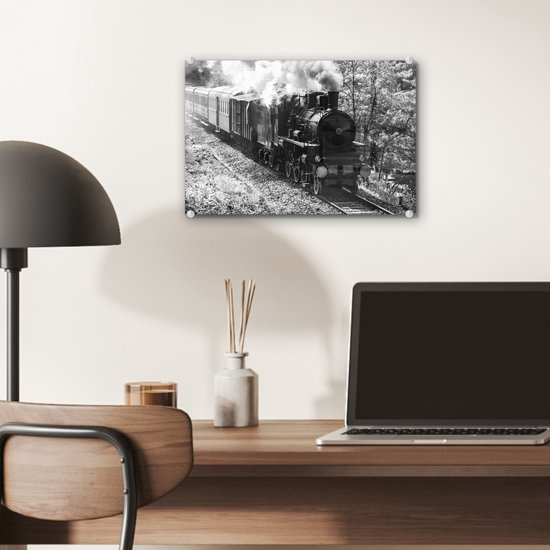 MuchoWow® Peinture sur verre 30x20 cm - Peinture sur verre acrylique - Photo Zwart et blanc d'un train à vapeur au milieu des prés - noir et blanc - Photo sur verre - Peintures