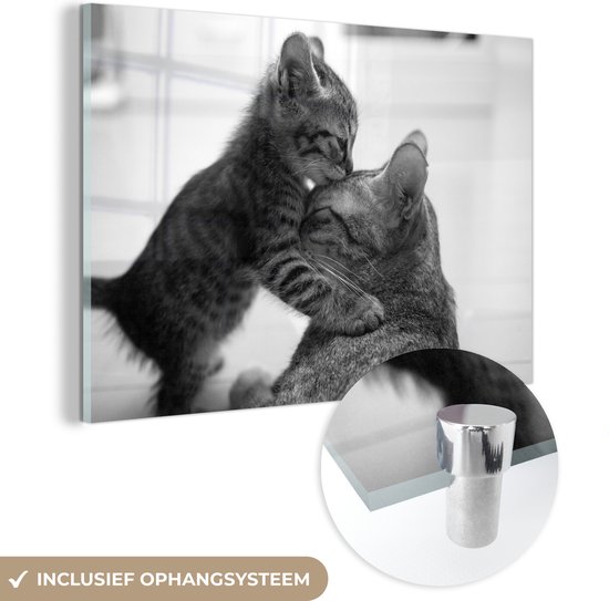 MuchoWow® Glasschilderij 150x100 cm - Schilderij acrylglas - Een kitten met zijn moeder - zwart wit - Foto op glas - Schilderijen