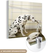 MuchoWow® Glasschilderij 90x90 cm - Schilderij acrylglas - Dalmatiër - Pup - Hond - Foto op glas - Schilderijen