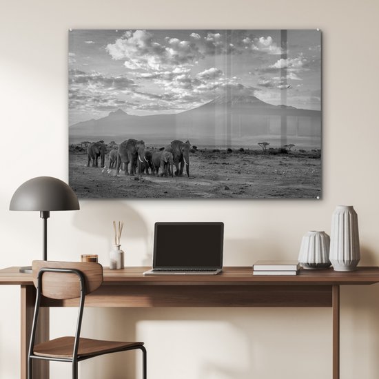 MuchoWow® Glasschilderij 120x80 cm - Schilderij acrylglas - Trekkende olifanten - zwart wit - Foto op glas - Schilderijen
