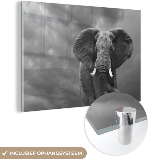 MuchoWow® Glasschilderij 30x20 cm - Schilderij acrylglas - Rennende olifant tegen een donkere lucht - zwart wit - Foto op glas - Schilderijen