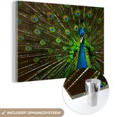 MuchoWow® Glasschilderij 120x80 cm - Schilderij acrylglas - Pauw - Veren - Patroon - Blauw - Foto op glas - Schilderijen