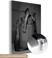 MuchoWow® Glasschilderij 60x80 cm - Schilderij acrylglas - Hond in een handtas - zwart wit - Foto op glas - Schilderijen