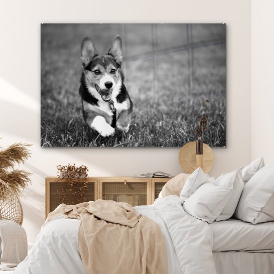 MuchoWow® Peinture sur verre 180x120 cm - Peinture sur verre acrylique - Chien qui court - noir et blanc - Photo sur verre - Peintures