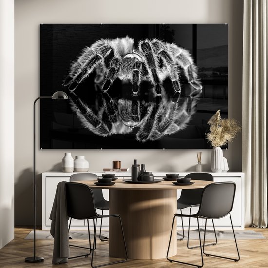 ® Glasschilderij 180x120 cm - Schilderij acrylglas - Studio shot van een tarantula - Foto op glas - Muurdecoratie woonkamer - Wanddecoratie slaapkamer - Schilderijen