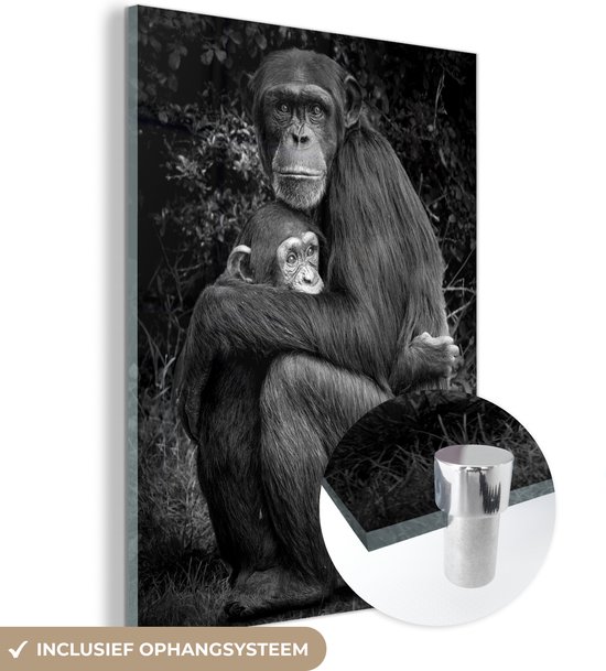 MuchoWow® Glasschilderij 30x40 cm - Schilderij acrylglas - Beschermende chimpansee met jong - zwart wit - Foto op glas - Schilderijen