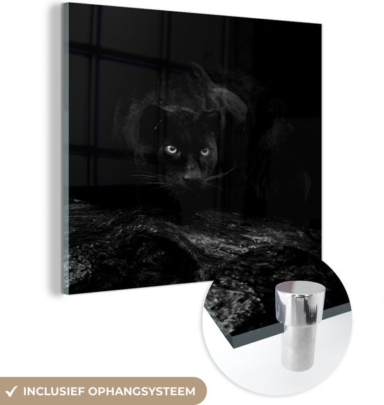 MuchoWow® Glasschilderij 90x90 cm - Schilderij acrylglas - Panter - Boomstam - Zwart - zwart wit - Foto op glas - Schilderijen