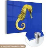 MuchoWow® Glasschilderij 60x40 cm - Schilderij acrylglas - Een geel zeepaardje op een blauwe achtergrond - Foto op glas - Schilderijen
