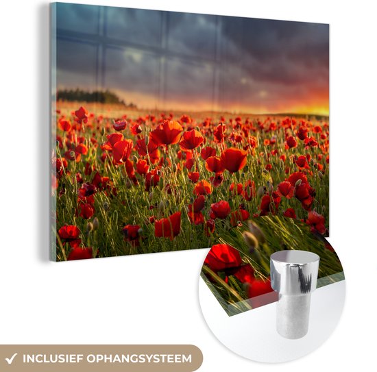 Peinture sur Verre - Coucher de Soleil dans un Champ de Coquelicots - 120x80 cm - Peintures sur Verre Peintures - Photo sur Glas