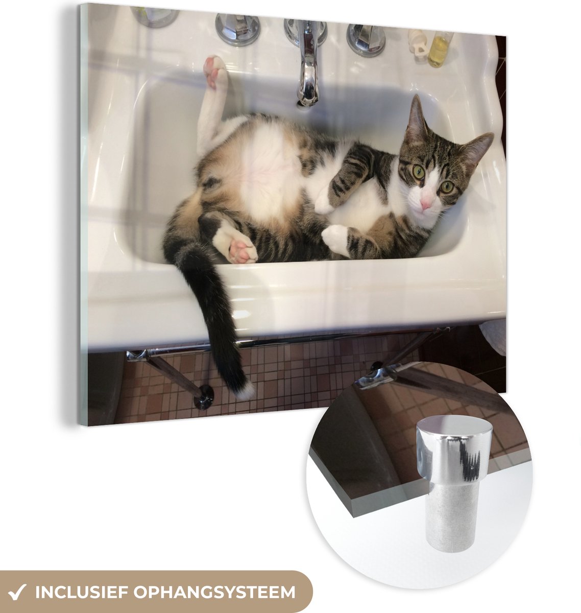 ® Glasschilderij 120x90 cm - Schilderij acrylglas - Kat - Wasbak - Badkamer - Foto op glas
