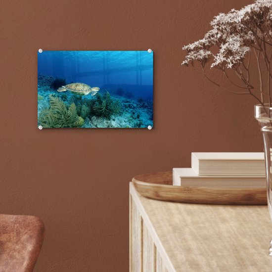 MuchoWow® Glasschilderij 30x20 cm - Schilderij acrylglas - Groene zeeschildpad op Bonaire - Foto op glas - Schilderijen
