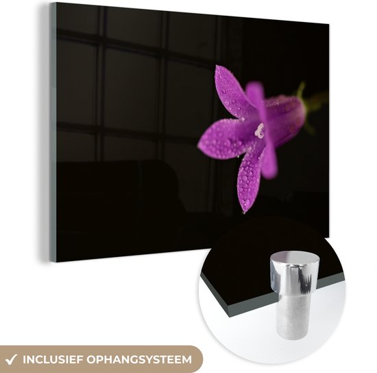 MuchoWow® Glasschilderij 30x20 cm - Schilderij acrylglas - Een close-up van een paarse lelie op een zwarte achtergrond - Foto op glas - Schilderijen
