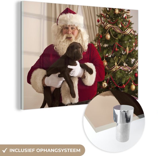 MuchoWow® Glasschilderij 60x40 cm - Schilderij acrylglas - De kerstman met een bruine hond in zijn handen - Foto op glas - Schilderijen