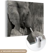 MuchoWow® Glasschilderij 160x120 cm - Schilderij acrylglas - Olifant - Dieren - Zwart - Wit - Foto op glas - Schilderijen