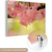MuchoWow® Glasschilderij 120x80 cm - Schilderij acrylglas - Een roze sierkers met een lichtgele achtergrond - Foto op glas - Schilderijen