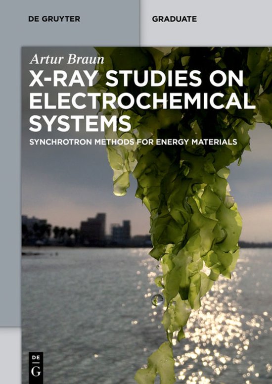 X-ray Studies on Electrochemical Systems - cover