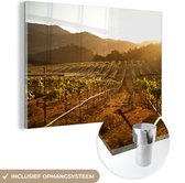 Vignoble au coucher du soleil Glas 120x80 cm - Tirage photo sur Glas (décoration murale plexiglas)