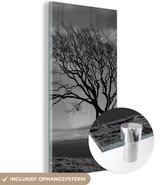 MuchoWow® Glasschilderij 60x120 cm - Schilderij acrylglas - Winterfoto beukenboom zwart-wit - Foto op glas - Schilderijen
