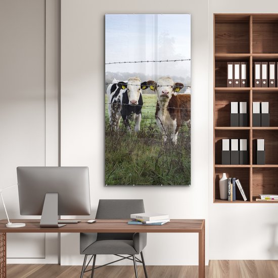 ® Glasschilderij 80x160 cm - Schilderij acrylglas - Koe - Prikkeldraad - Gras - Dieren - Foto op glas - Muurdecoratie woonkamer - Wanddecoratie slaapkamer - Schilderijen