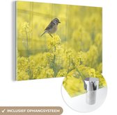 MuchoWow® Glasschilderij 120x80 cm - Schilderij acrylglas - Vogel - Planten - Geel - Foto op glas - Schilderijen