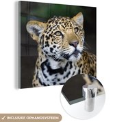 MuchoWow® Glasschilderij 50x50 cm - Schilderij acrylglas - Luipaard - Kop - Bos - Foto op glas - Schilderijen